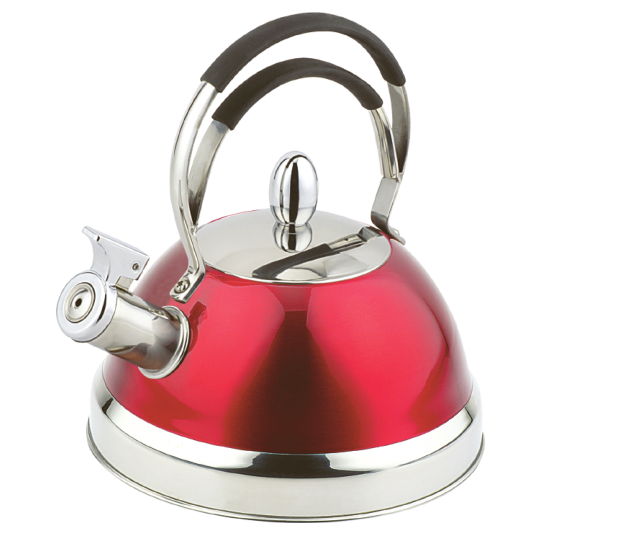 Why do more and more people choose stainless steel kettles?